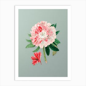 Vintage Rhododendron Flower Botanical Art on Mint Green n.0302 Art Print
