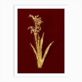 Vintage Antholyza Aethiopica Botanical in Gold on Red n.0188 Art Print