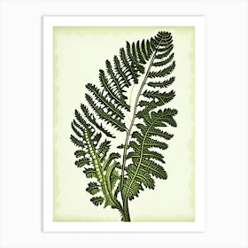 Royal Fern Wildflower Vintage Botanical 1 Art Print