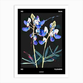 No Rain No Flowers Poster Bluebonnet 6 Art Print