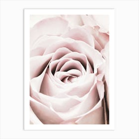 Pink Rose Vintage_2066828 Art Print