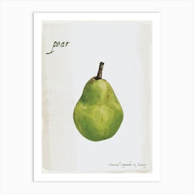 Pear Vintage illustration Print Art Print