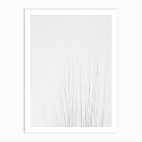 Sea Grasses Black & White Drawing Art Print