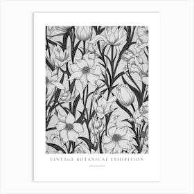 Snowdrop B&W Vintage Botanical Poster Art Print