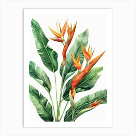 Bird Of Paradise 41 Art Print