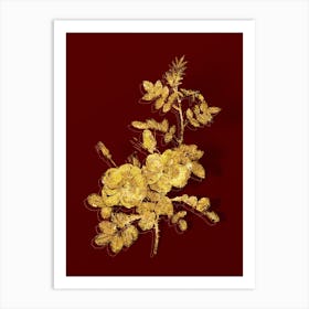 Vintage Yellow Sweetbriar Roses Botanical in Gold on Red n.0351 Art Print