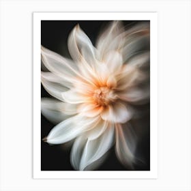 Dahlia Flower 4 Art Print