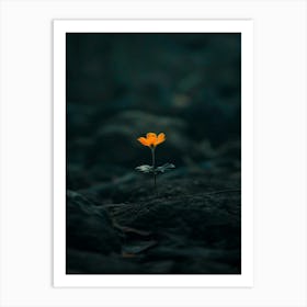 Single Flower In The Dark 89 Art Print