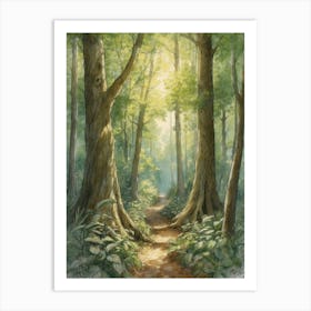 Path In The Woods 9 Art Print