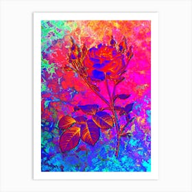 Pink Cumberland Rose Botanical in Acid Neon Pink Green and Blue n.0301 Art Print