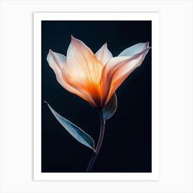 Tulip 5 Art Print