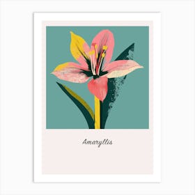 Amaryllis 3 Square Flower Illustration Poster Art Print