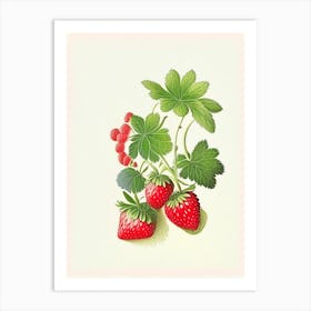 Alpine Strawberries, Plant, Retro Drawing Art Print