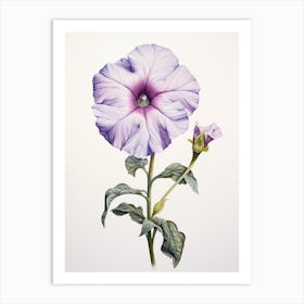 Pressed Flower Botanical Art Petunia 2 Art Print