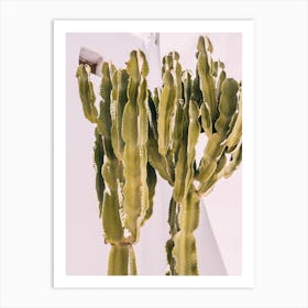 Cactus Against White Art Print