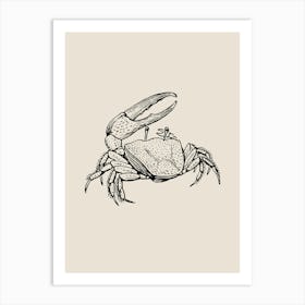 Crab Drawing Art Print