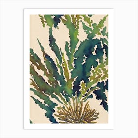 Acropora Secale Vintage Graphic Watercolour Art Print