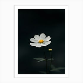 White Flower 10 Art Print