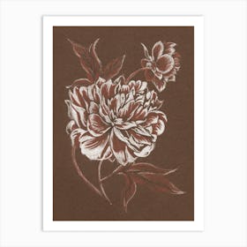 Drawing Art 'Sepia Peony', Aga Szafranska Art Print