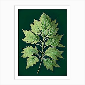 Lovage Leaf Vintage Botanical 2 Art Print