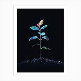 Plant Grows In The Dark 1 Art Print