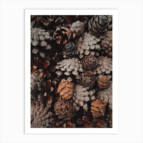 Rustic Pine Cones Art Print