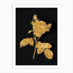 Vintage Pink Cabbage Rose Botanical in Gold on Black n.0209 Art Print