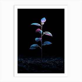 Plant Growing Out Of The Ground 5 Art Print