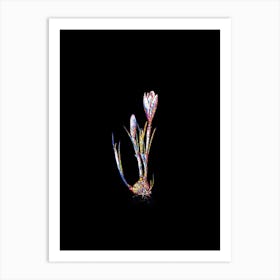 Stained Glass Spring Crocus Mosaic Botanical Illustration on Black n.0253 Art Print