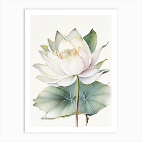 White Lotus Watercolour Ink Pencil Art Print