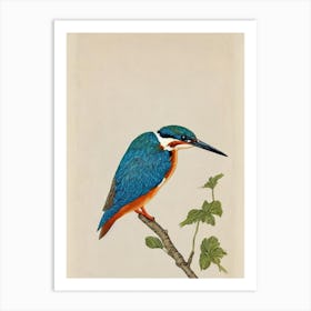 Kingfisher Illustration Bird Art Print