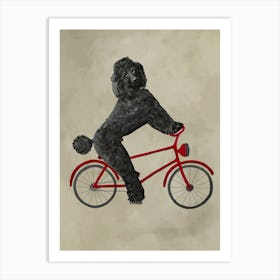 Poodle On Bicycle Art Print
