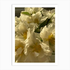 White Tulips 1 Art Print