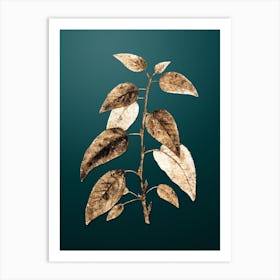 Gold Botanical Balsam Poplar Leaves on Dark Teal Art Print