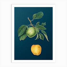 Vintage Apple Botanical Art on Teal Blue n.0807 Art Print