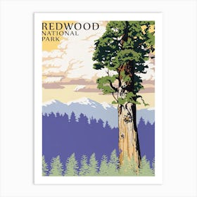 Redwood National Park Art Print