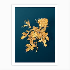 Vintage Dwarf Damask Rose Botanical in Gold on Teal Blue n.0024 Art Print