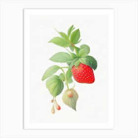 Strawberry Plant,, Fruit, Pastel Watercolour Art Print