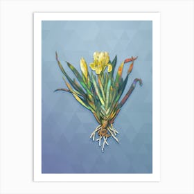 Vintage Crimean Iris Botanical Art on Summer Song Blue n.0762 Art Print