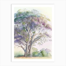 Atherton Tableland S 1, Curtain Fig Tree, Australia Pastel Watercolour Art Print