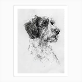 Otterhound Dog Charcoal Line 1 Art Print