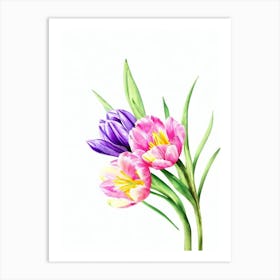 Tulips Watercolour Flower Art Print