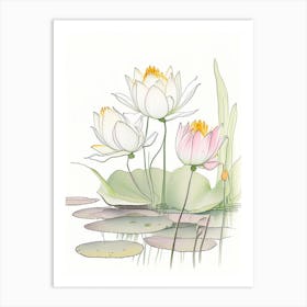 Lotus Flowers In Garden Pencil Illustration 4 Art Print