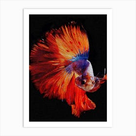 Big Tail Siamese Fighting Fish Digital Painting Art Print