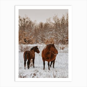 Snowy Pair Of Horses Art Print