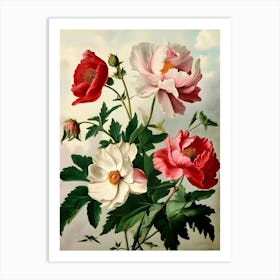 Peonies 14 Art Print