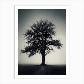 Lone Tree 20 Art Print