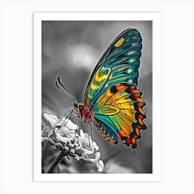 Butterfly on flower Art Print