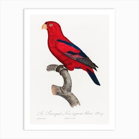 The Red Lory From Natural History Of Parrots, Francois Levaillant Art Print