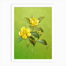 Vintage Golden Guinea Vine Botanical Art on Love Bird Green n.0304 Art Print